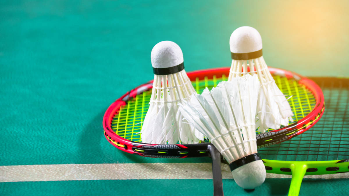 来的厦门主 来的厦门主